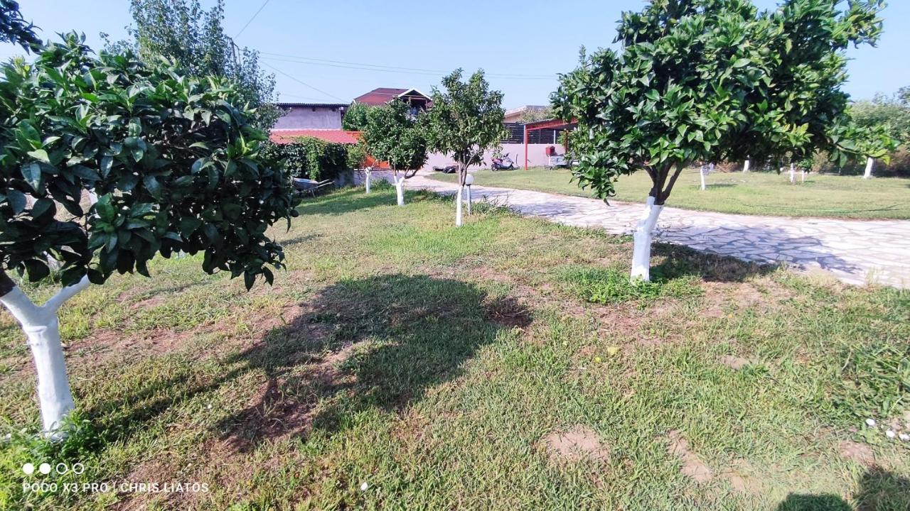 Vivian Philoxenia Villa Nea Sampsounta Exterior foto
